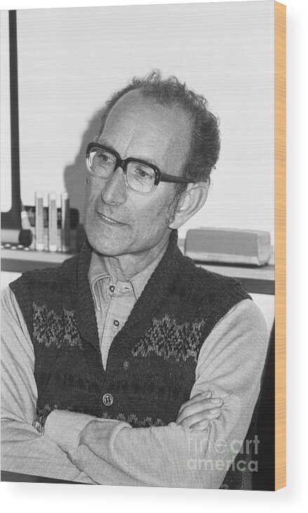 1980-1989 Wood Print featuring the photograph Nobel Prize Winner Dr. Cesar Milstein by Bettmann