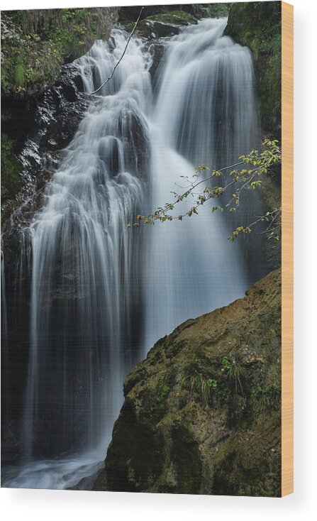 Slovenia Wood Print featuring the photograph Noisy Falls by Robert Grac