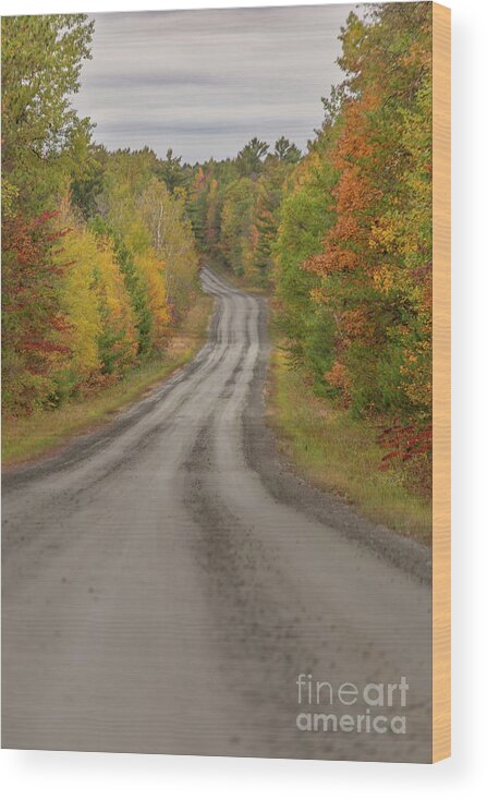 Fall Foliage Wood Print featuring the photograph Off the Beaten Path by Amfmgirl Photography