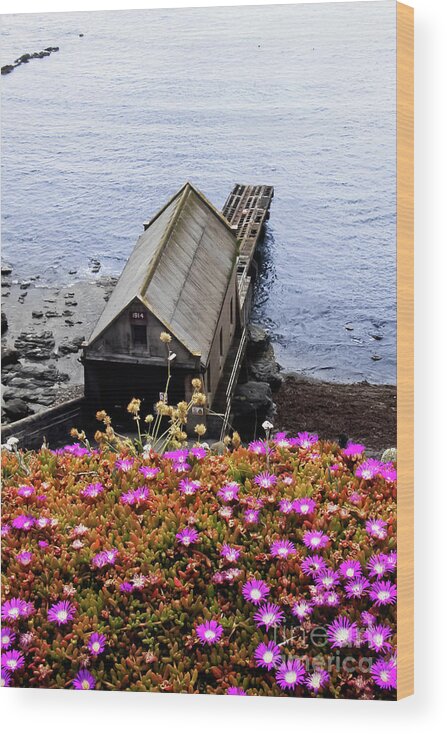 Lizard Point Wood Print featuring the photograph Old Lizard Lifeboat Station by Terri Waters