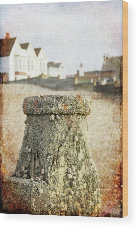 Bollard Wood Print featuring the photograph Old Post Of Jetty by Melinda Moore