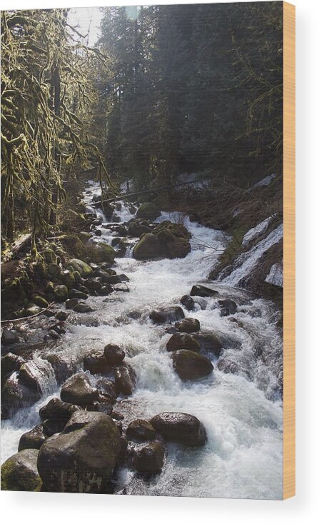 Oneonta Creek Wood Print featuring the photograph Oneonta Creek by Dylan Punke