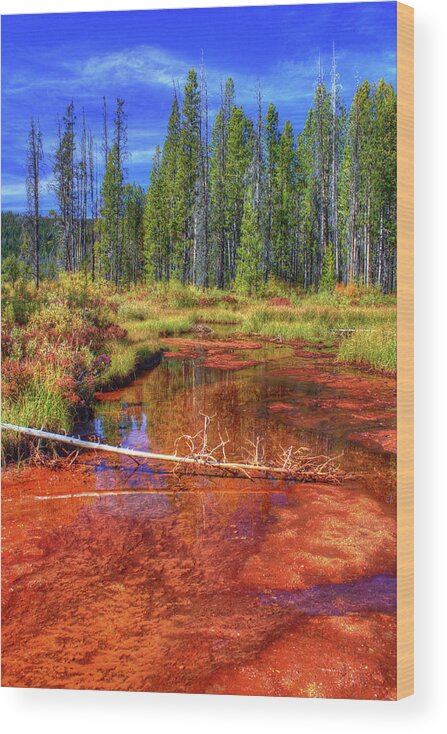 Scenics Wood Print featuring the photograph Outlet By Stanley Lake, Idaho by Anna Gorin