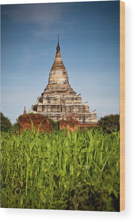 Pagoda Wood Print featuring the photograph Pagode In Bagan, Myanmar by Daniel Osterkamp