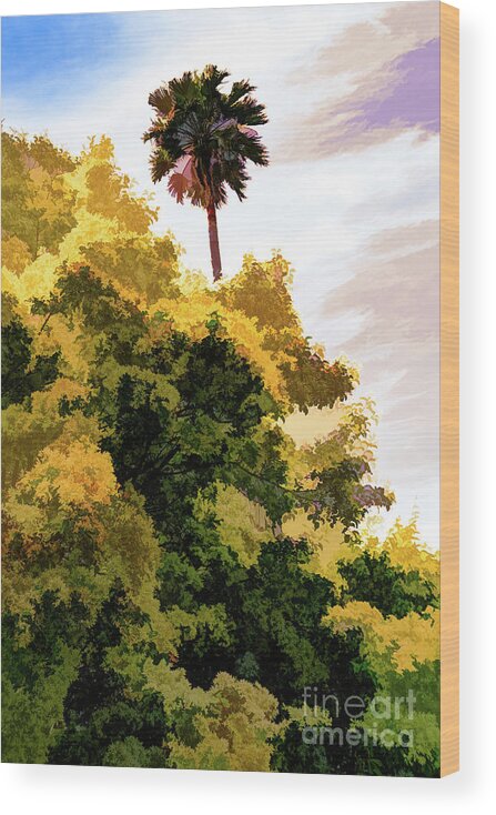 Art Wood Print featuring the photograph Palm above the Trees by Roslyn Wilkins