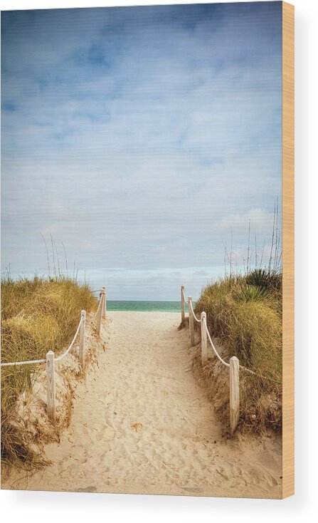 Water's Edge Wood Print featuring the photograph Path To The Sandy Beach by Pgiam