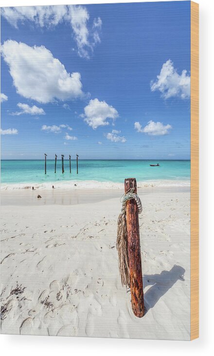 Aruba Wood Print featuring the photograph Pelicans Perch by David Letts