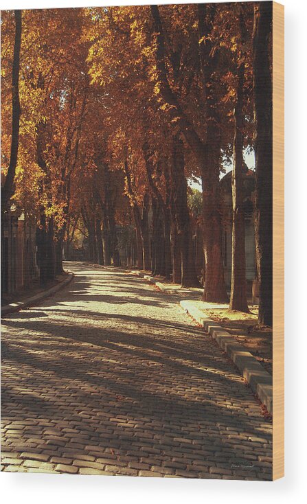 Autumn Wood Print featuring the photograph Pere La Chaise by Laura Marshall