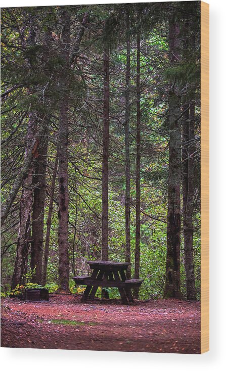 Forest Wood Print featuring the photograph Picnic Table by Paul Freidlund