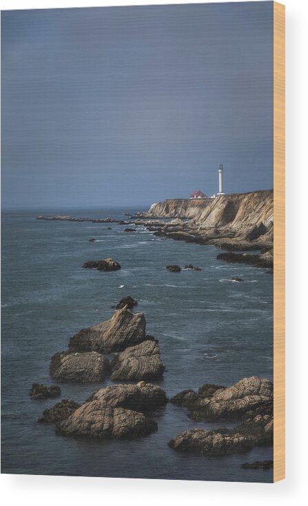 Lighthouse Wood Print featuring the photograph Point Arena Lighthouse Vertical by Teresa Wilson