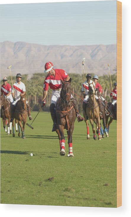 Horse Wood Print featuring the photograph Polo Player Advancing Ball by Moodboard