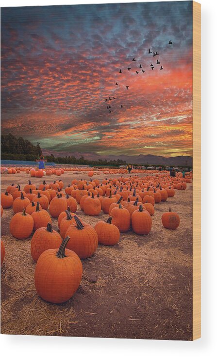 Harvest Wood Print featuring the photograph Pumpkin Harvest Sunset by Lynn Bauer