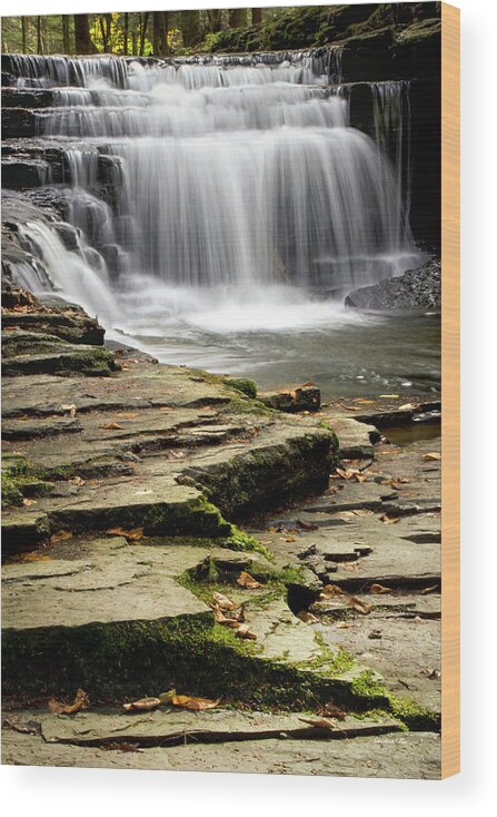 Waterfalls Wood Print featuring the photograph Pure And Tranquil Waterfall by Christina Rollo