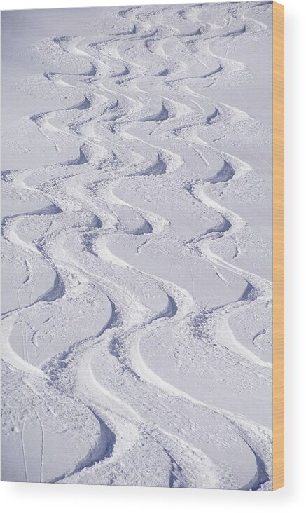 Skiing Wood Print featuring the photograph Rails In Snow by Marten Adolfson