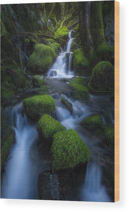 Rainforest
Waterfalls
Green
Canada
Bc
Landscape Wood Print featuring the photograph Rainforest Waterfalls by Tony Xu