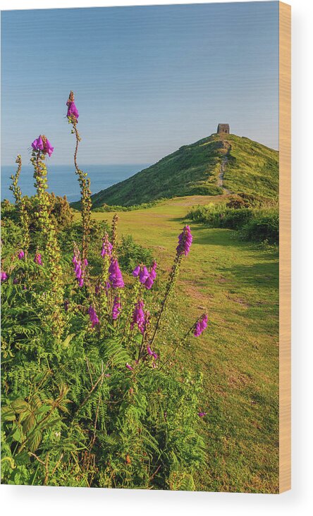 Britain Wood Print featuring the photograph Rame Head Chapel by David Ross