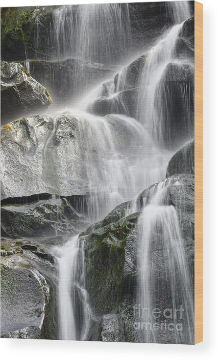 Ramsey Cascades Wood Print featuring the photograph Ramsey Cascades 4 by Phil Perkins