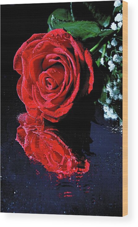 Red Rose Wood Print featuring the photograph Red rose reflection by Martin Smith