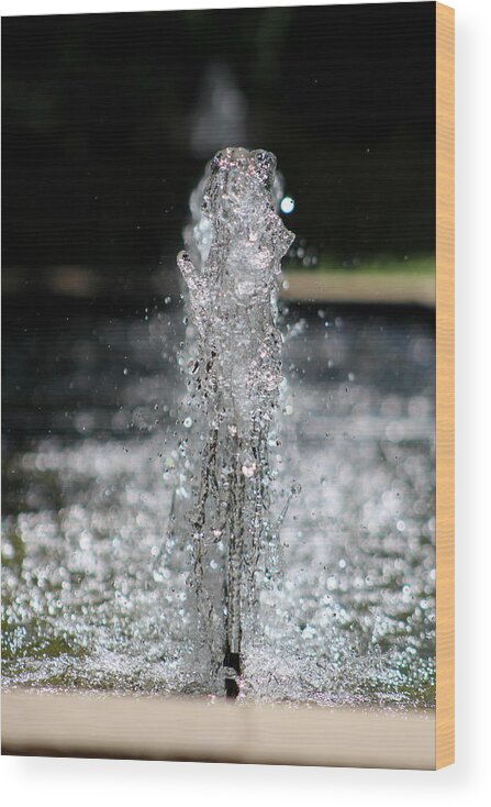 Garden Waters Wood Print featuring the photograph Refreshing - Water in Motion by Colleen Cornelius
