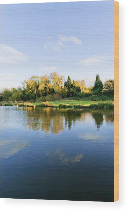 Scenics Wood Print featuring the photograph River Avon Warwick by Kodachrome25