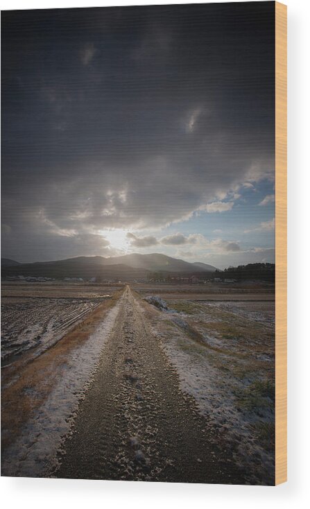 Tranquility Wood Print featuring the photograph Road Of Winter Morning by Photoaraki.com