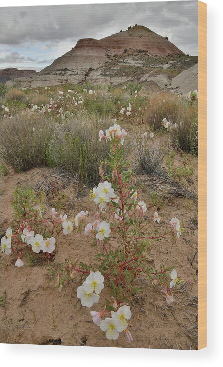 Ruby Mountain Wood Print featuring the photograph Ruby Mountain Desert Rose by Ray Mathis