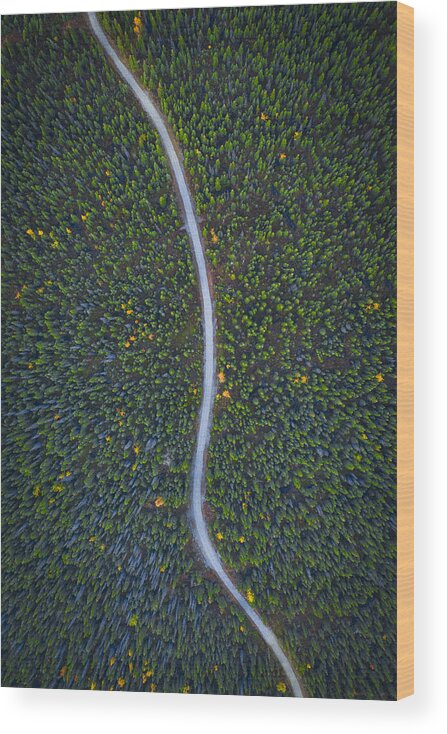 Aerial Wood Print featuring the photograph Silent Creek by Michael Zheng