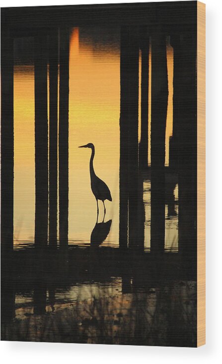 Sunset Wood Print featuring the photograph Silhouette Of A Bird by Cynthia Guinn