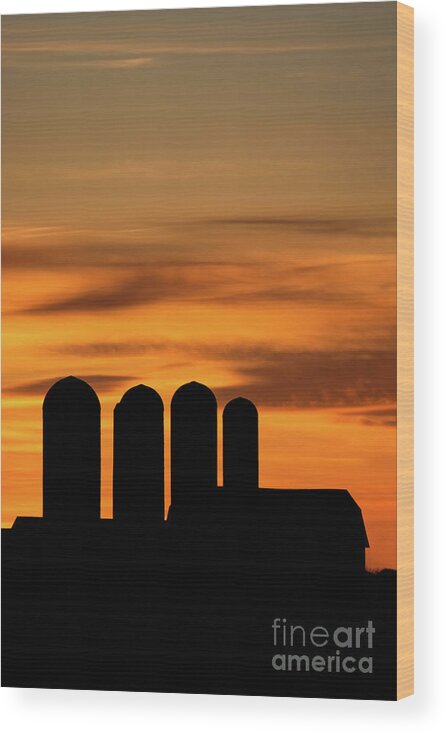 Sunny Wood Print featuring the photograph Silo Silhouettes at Sunset by Amfmgirl Photography