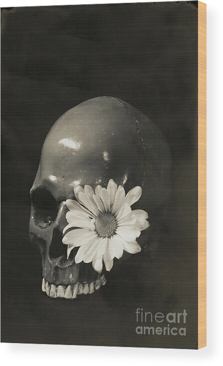Flowers Wood Print featuring the photograph Skull and Flower Tin Type by Edward Fielding