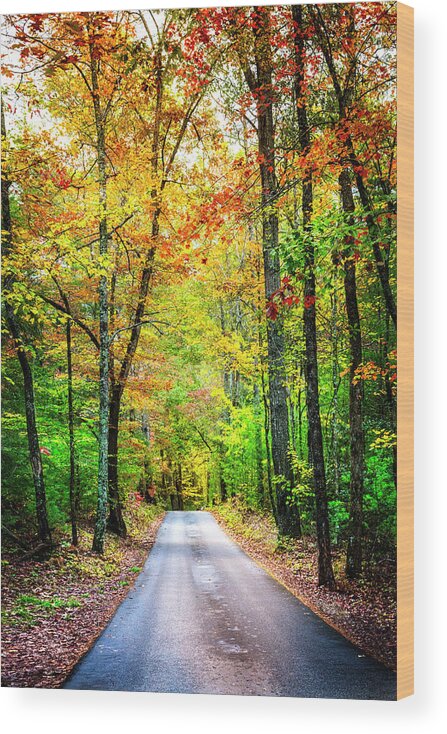 Appalachia Wood Print featuring the photograph Smoky Mountain Autumn by Debra and Dave Vanderlaan