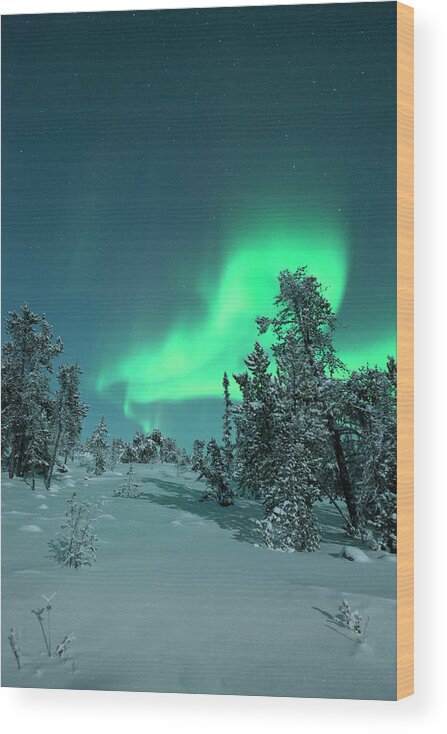 Tranquility Wood Print featuring the photograph Snow Covered Trees With Moonlight And by Michael Ericsson