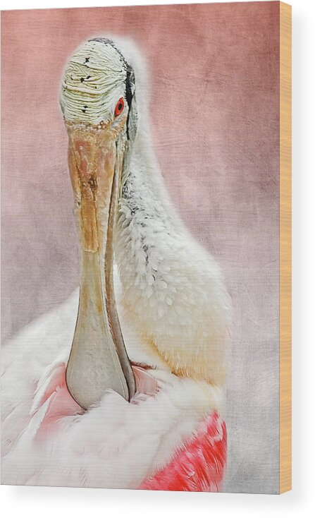 Audubon Wood Print featuring the photograph Spoonbill Portrait II by Dawn Currie