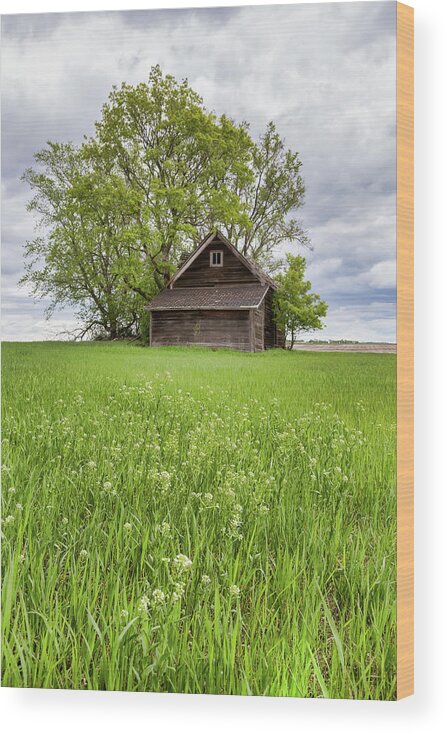 Rural Wood Print featuring the photograph Spring in the Country by Penny Meyers