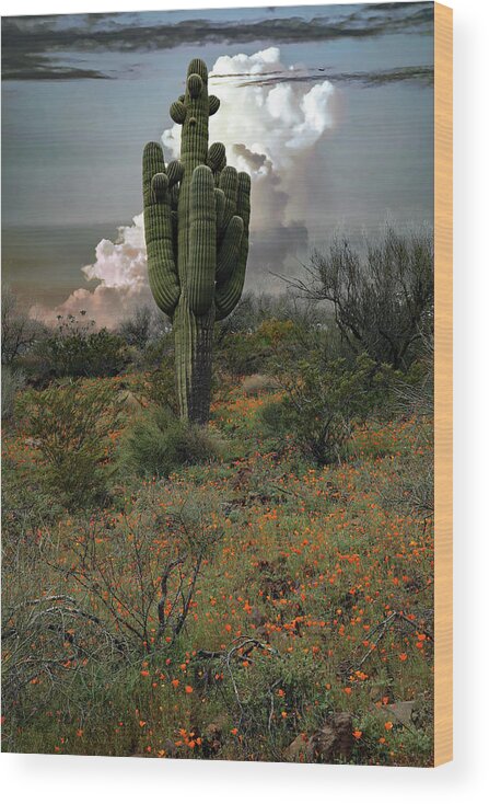 Cactus Wood Print featuring the photograph Springtime Saguaro by Hans Brakob