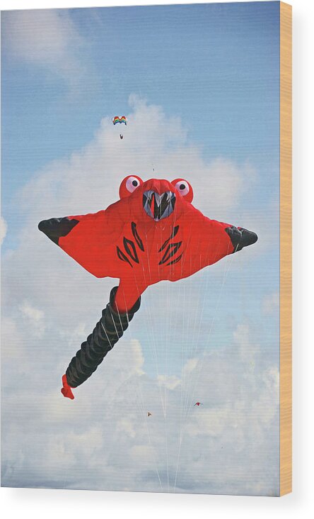 Lancashire Wood Print featuring the photograph ST. ANNES. The Kite Festival by Lachlan Main