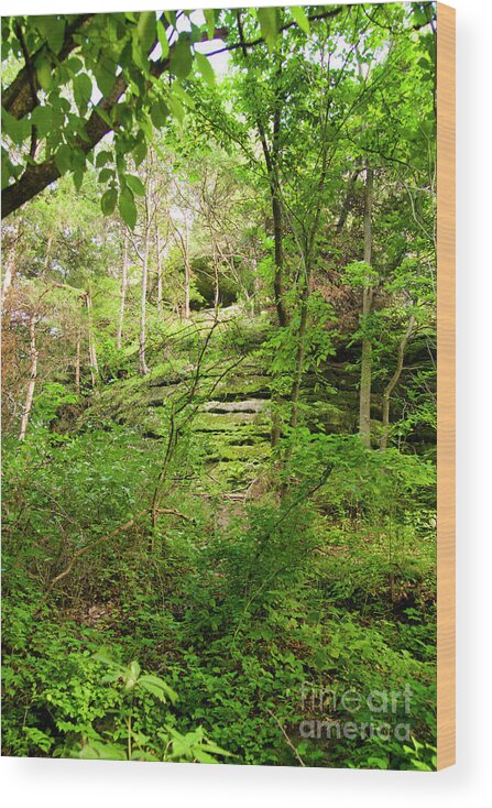 Starved Rock Wood Print featuring the photograph Starved Rock by Scott Smith