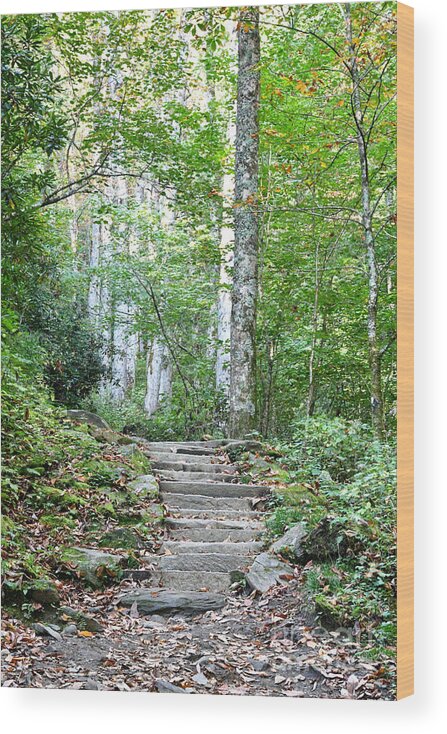 Tennessee Wood Print featuring the photograph Steps Up Into The Forest 1 by Phil Perkins
