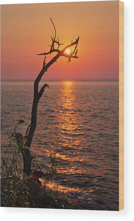 Sun Wi Cave Point Park Door County Lake Michigan Alignment Wood Print featuring the photograph SunCatcher - Dead tree grasps the rising sun at Cave Point Park in Door County WI by Peter Herman