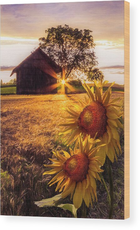 Barns Wood Print featuring the photograph Sunset Longing by Debra and Dave Vanderlaan