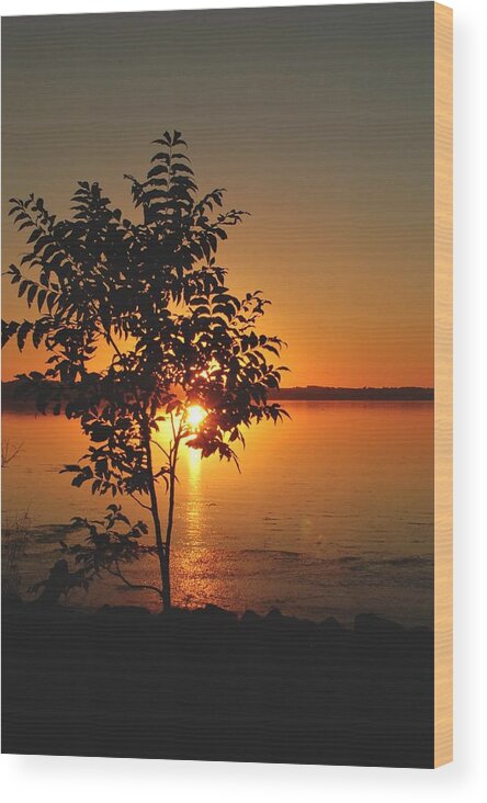 Sunset Wood Print featuring the digital art Sunset Painting by Sandra J's