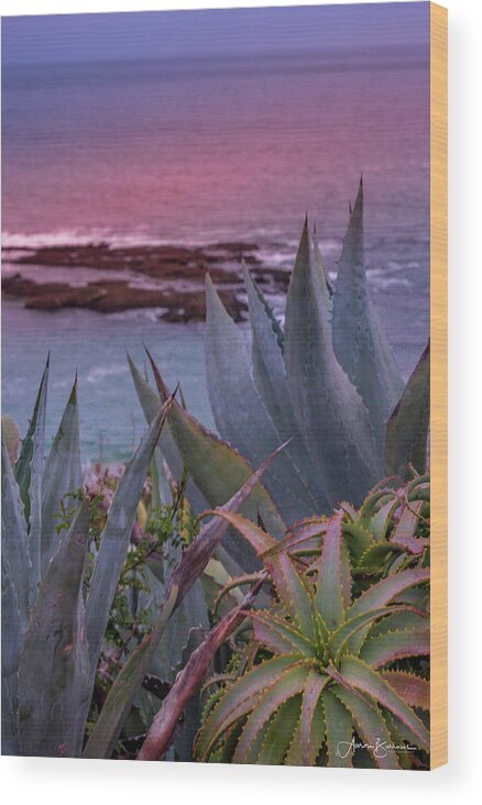 Ocean Wood Print featuring the photograph Sunset Water Aloe and Agaves by Aaron Burrows