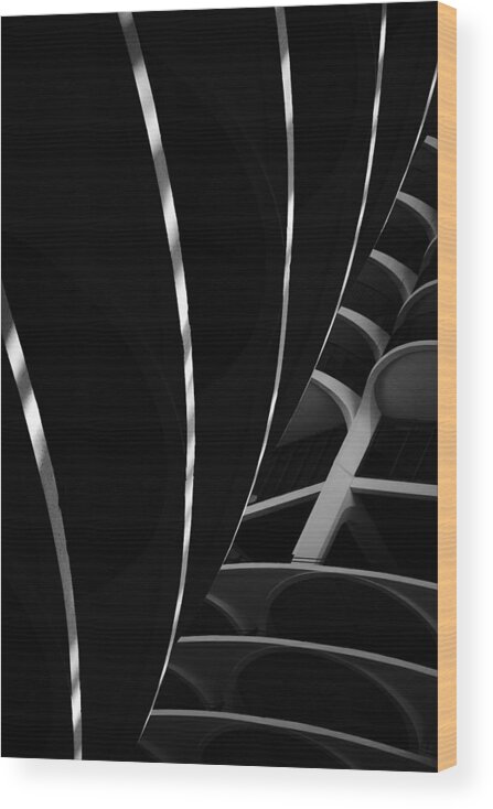 Abstract Wood Print featuring the photograph Tendrils by Bernice Williams