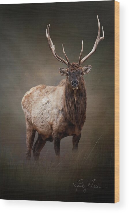 Bull Elk Wood Print featuring the photograph The Bull Elk by Randall Allen