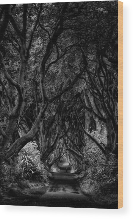 Dark Wood Print featuring the photograph The Dark Hedges by Ashley Sowter
