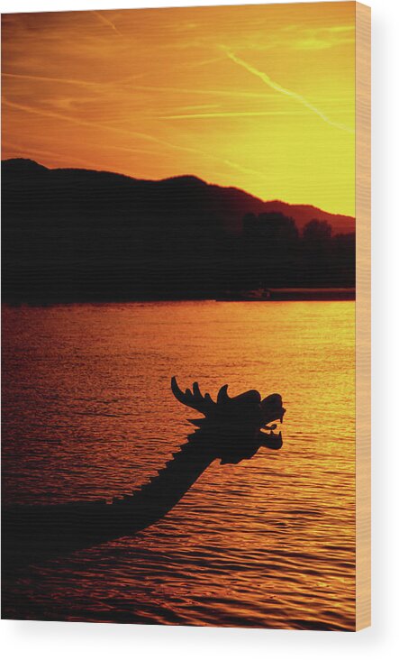 Dragon Wood Print featuring the photograph The Dragon of the Danube by Tito Slack