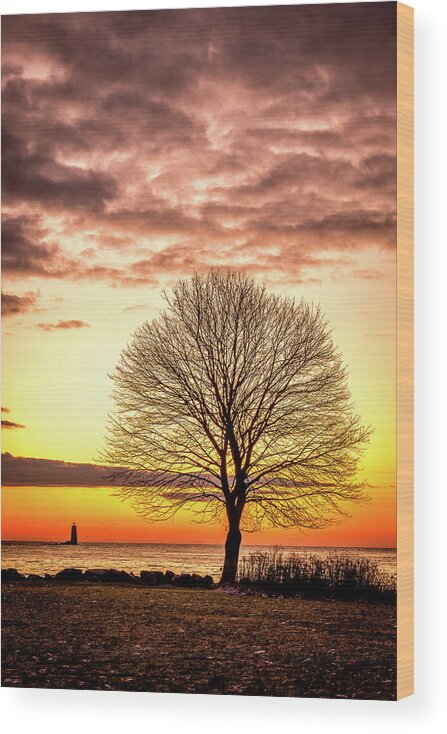 New Hampshire Wood Print featuring the photograph The Tree by Jeff Sinon