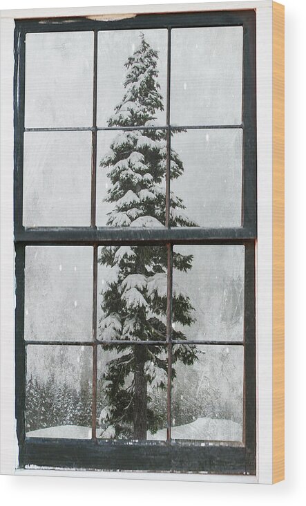 Window Wood Print featuring the photograph Through the Window by Marilyn Wilson