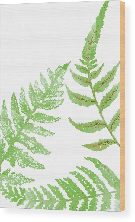 Tossed Wood Print featuring the painting Tossed Ferns II by Janice Gaynor