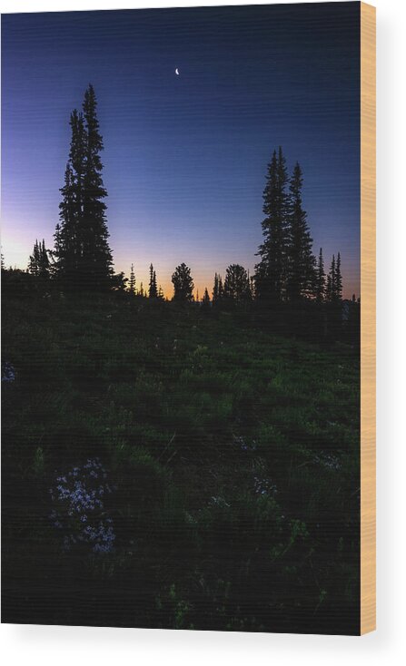 Tree Wood Print featuring the photograph Tree Silhouette Sunrise 2 by Pelo Blanco Photo